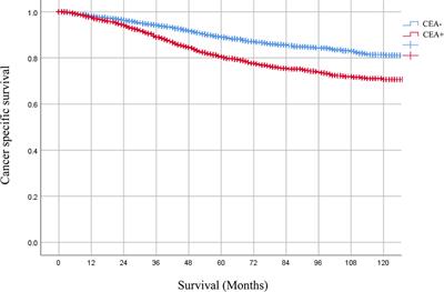 Can Elevated Pretreatment Serum Carcinoembryonic Antigen Levels Serve as a Potential Biomarker Guiding Adjuvant Chemotherapy in Rectal Cancer Patients With ypTis-3N0 After Neoadjuvant Radiotherapy and Surgery?